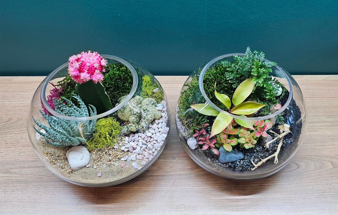 Terrarium Workshop – Create Your Own Miniature Garden