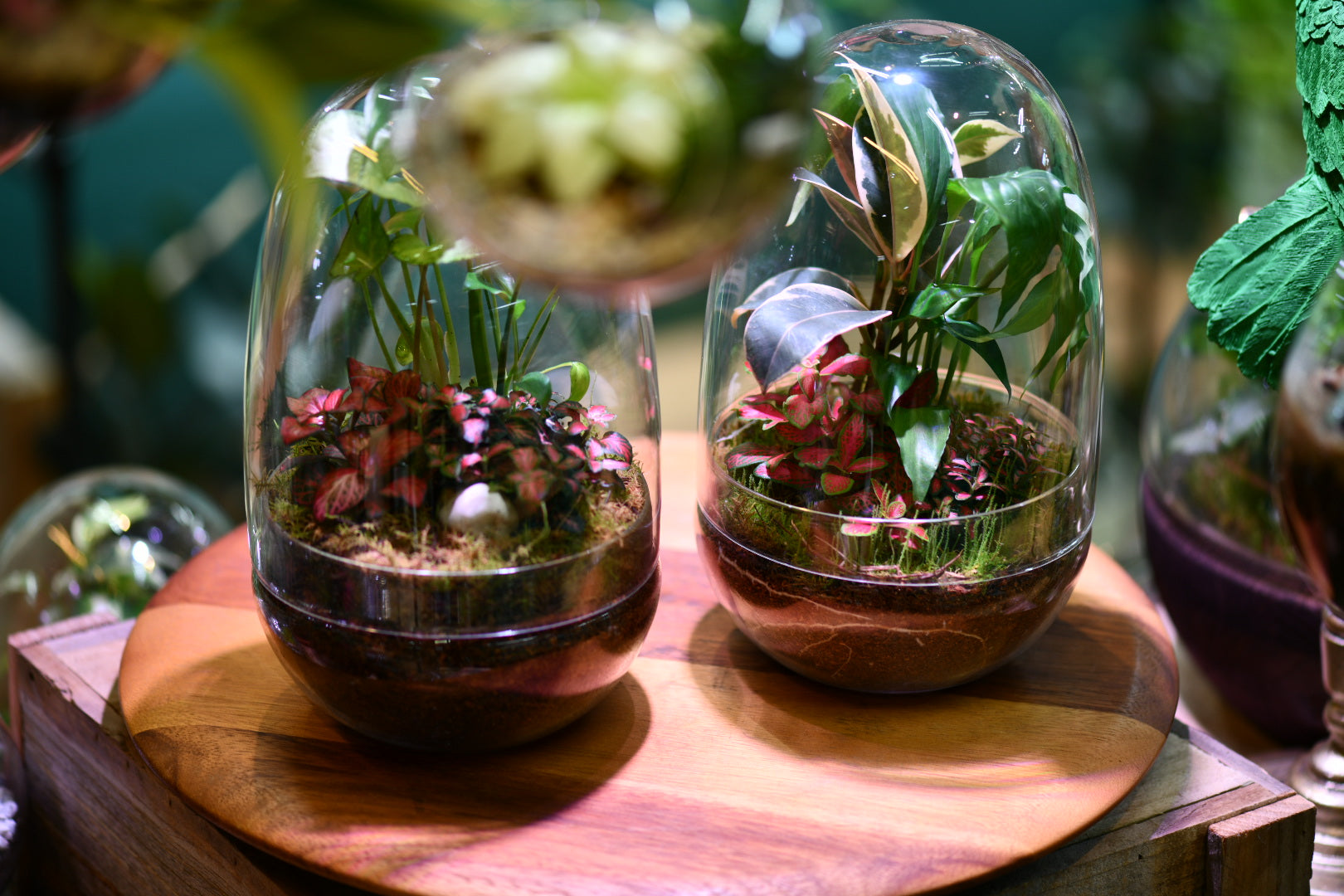 Hands-On Workshops at Greenlab Collective