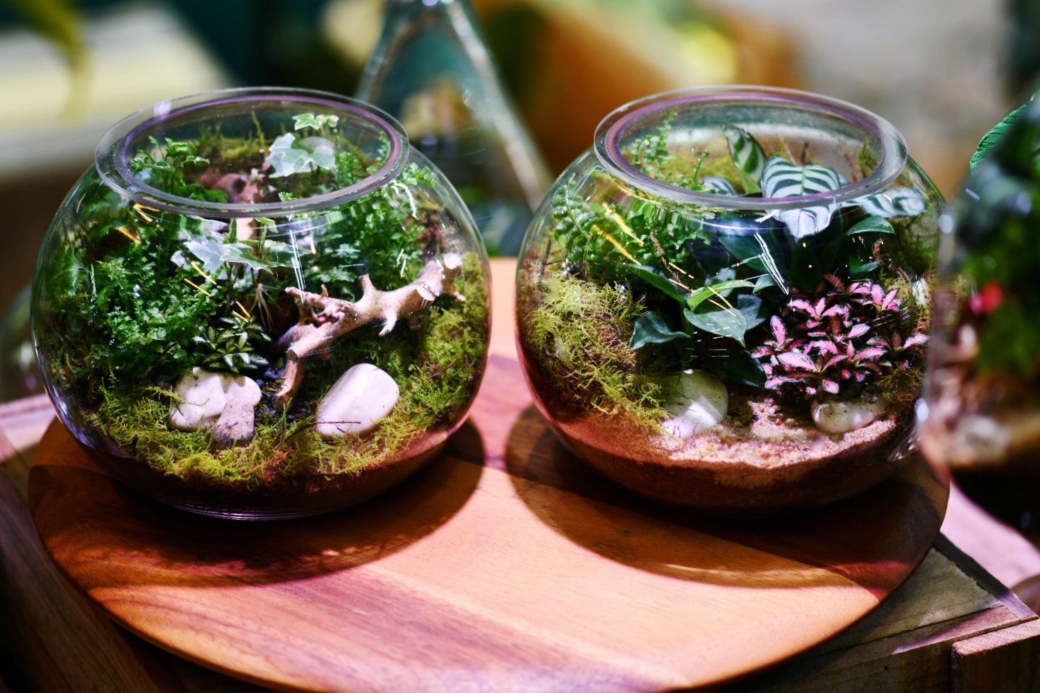 Hands-On Workshops at Greenlab Collective