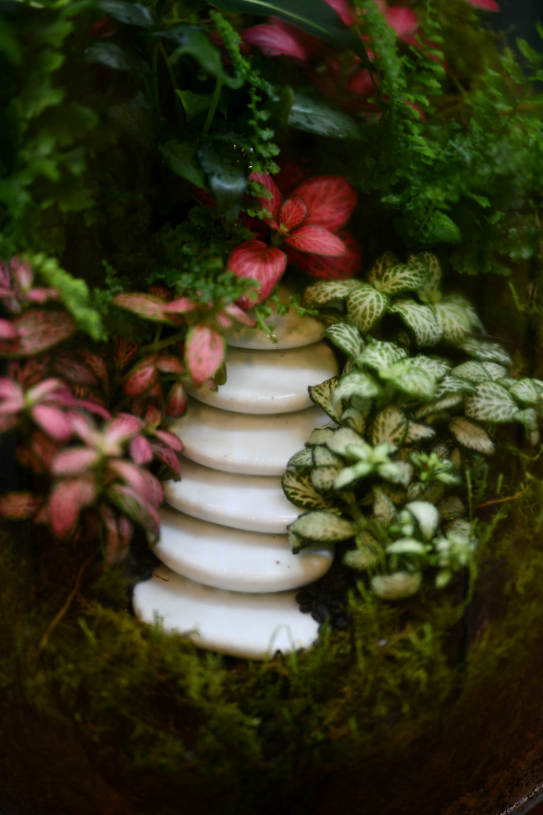 Terrarium Workshop Melbourne – Create Your Own Mini Garden (Hands-On Experience)