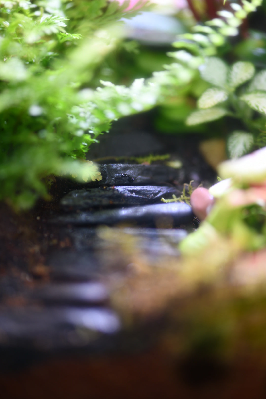 Hands-On Workshops at Greenlab Collective