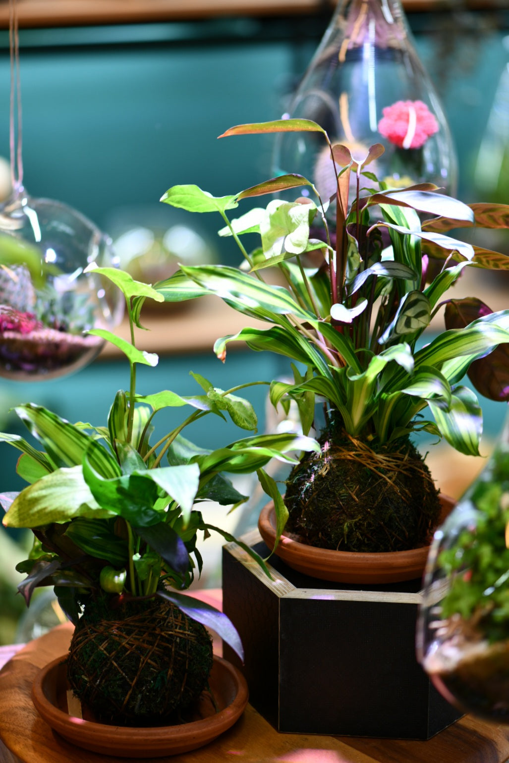 Hands-On Workshops at Greenlab Collective