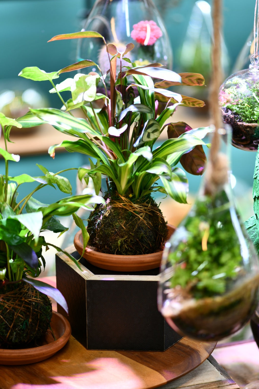 Hands-On Workshops at Greenlab Collective