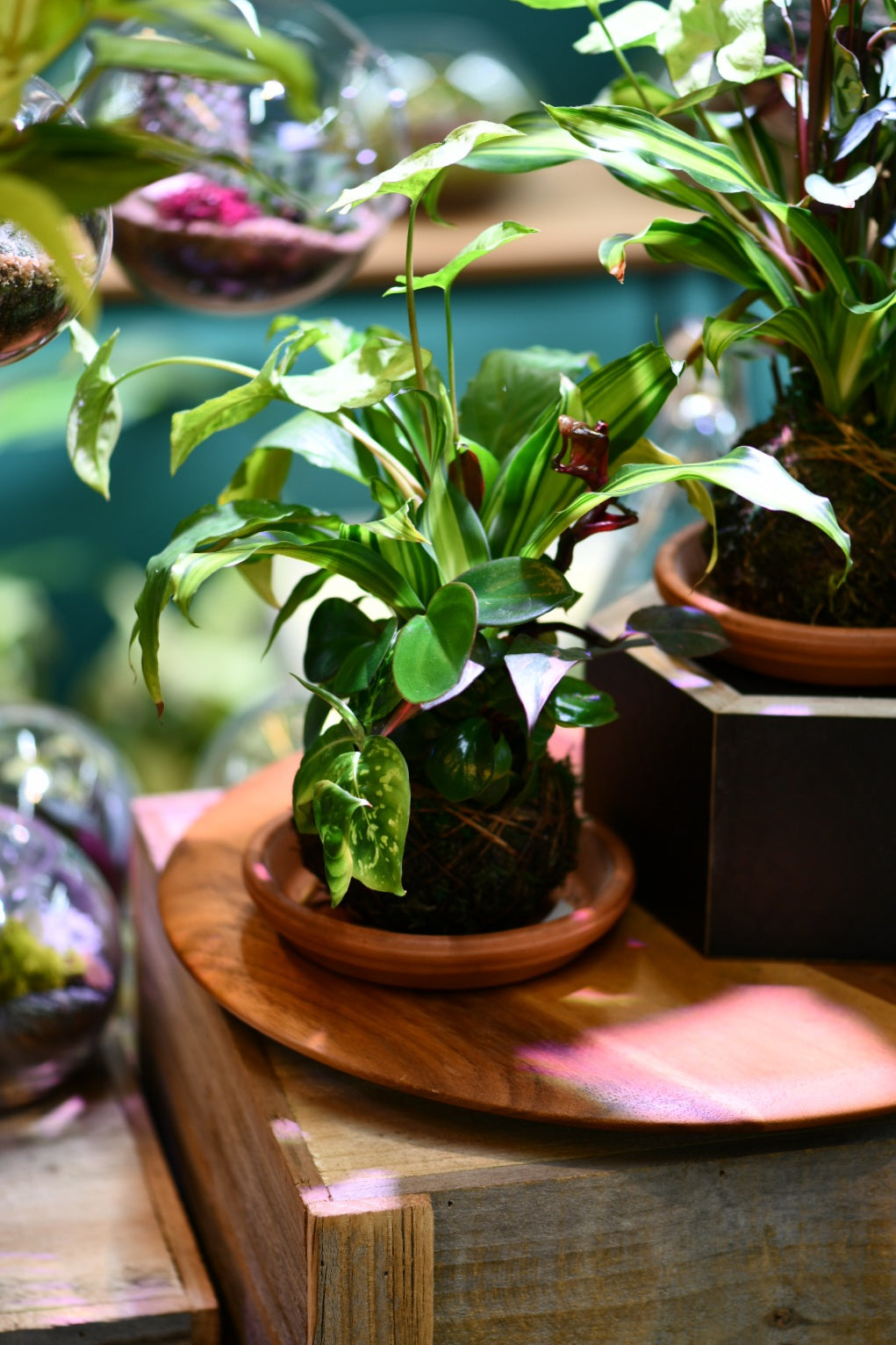 Hands-On Workshops at Greenlab Collective