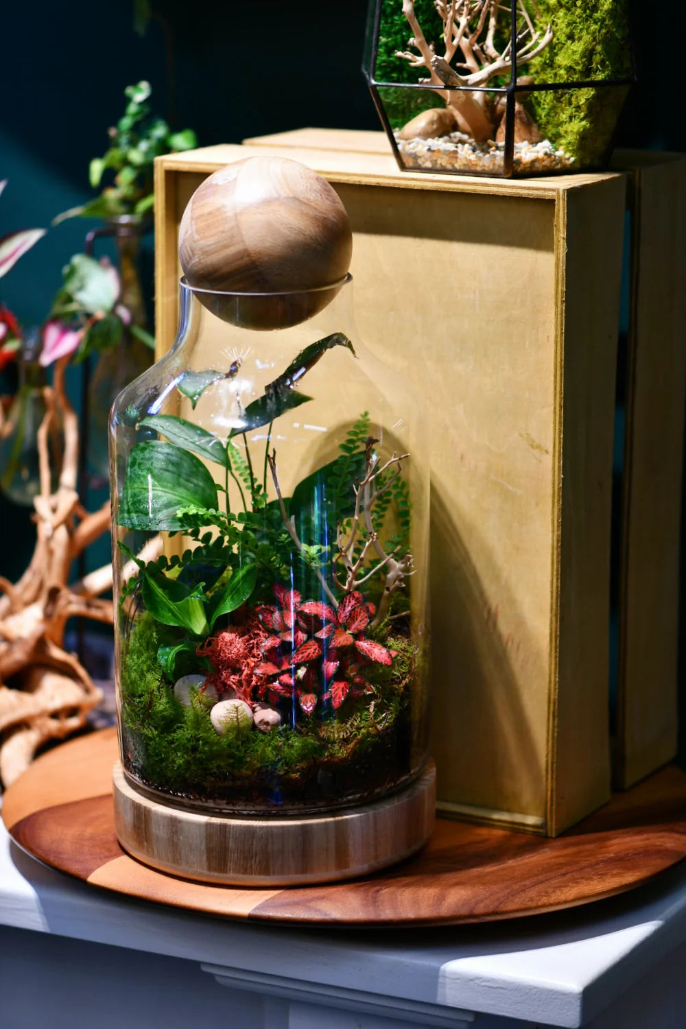Terrarium Workshop – Create Your Own Miniature Garden