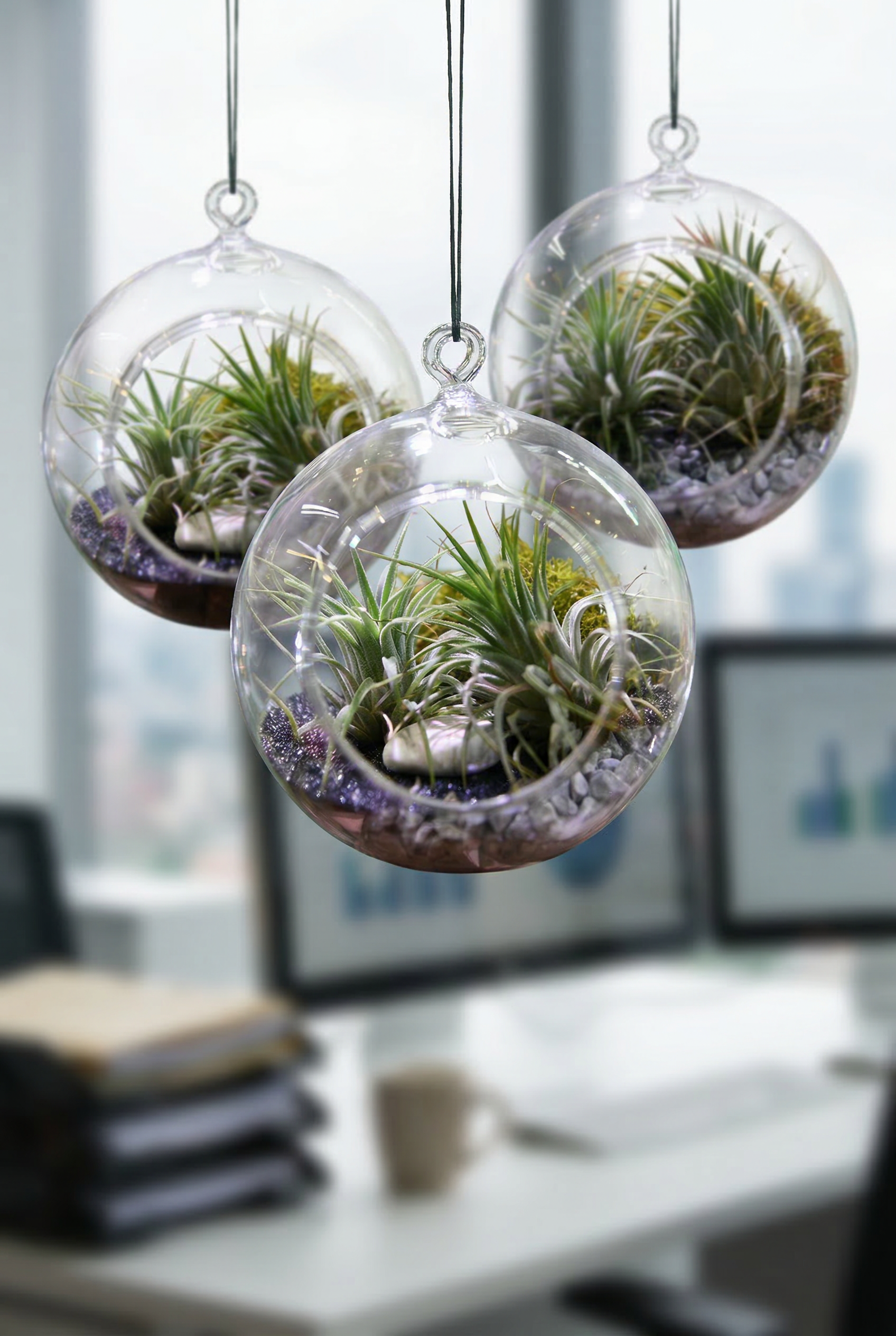 Round Glass Terrarium – Small Indoor Plant Terrarium (12cm) – Hanging or Tabletop