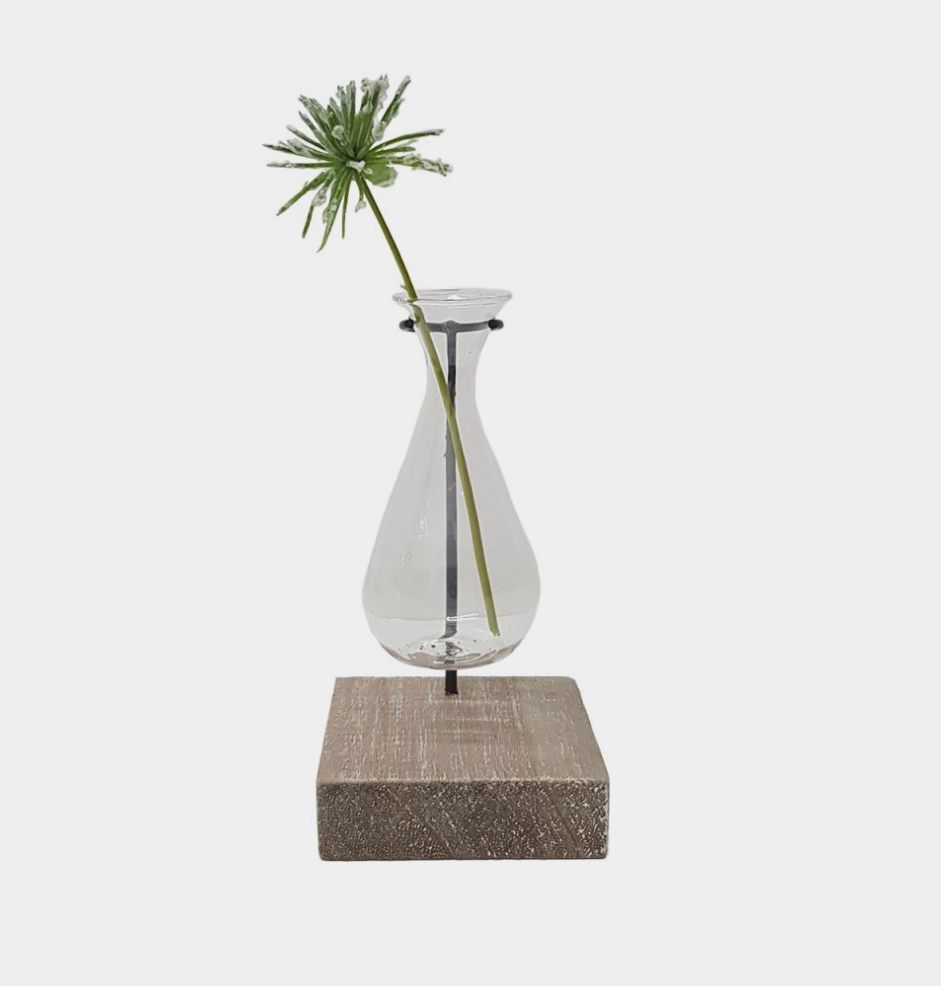 Glass Propagation Vase with Wooden Stand