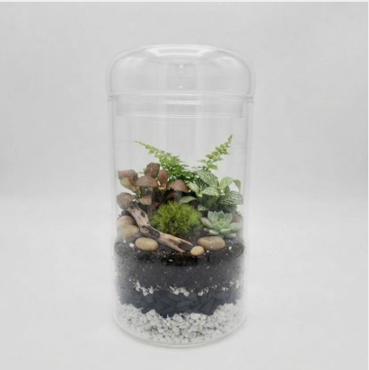 Glass Terrarium with Removable Lid