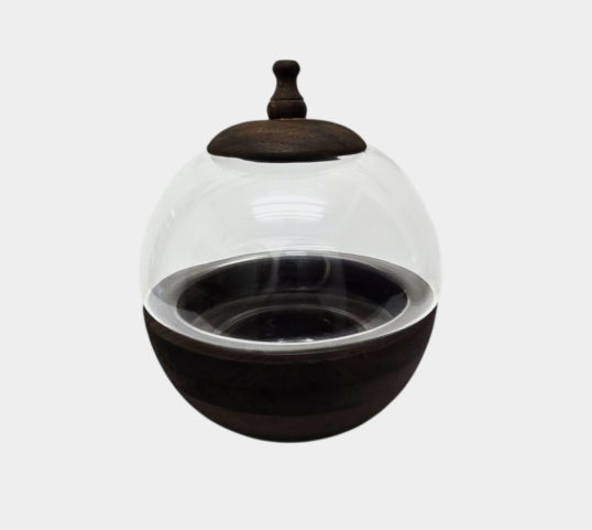 Glass Terrariums with Dark Wood Bases – Multiple Shapes & Sizes