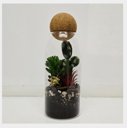 Cork Terrariums Glassware Only