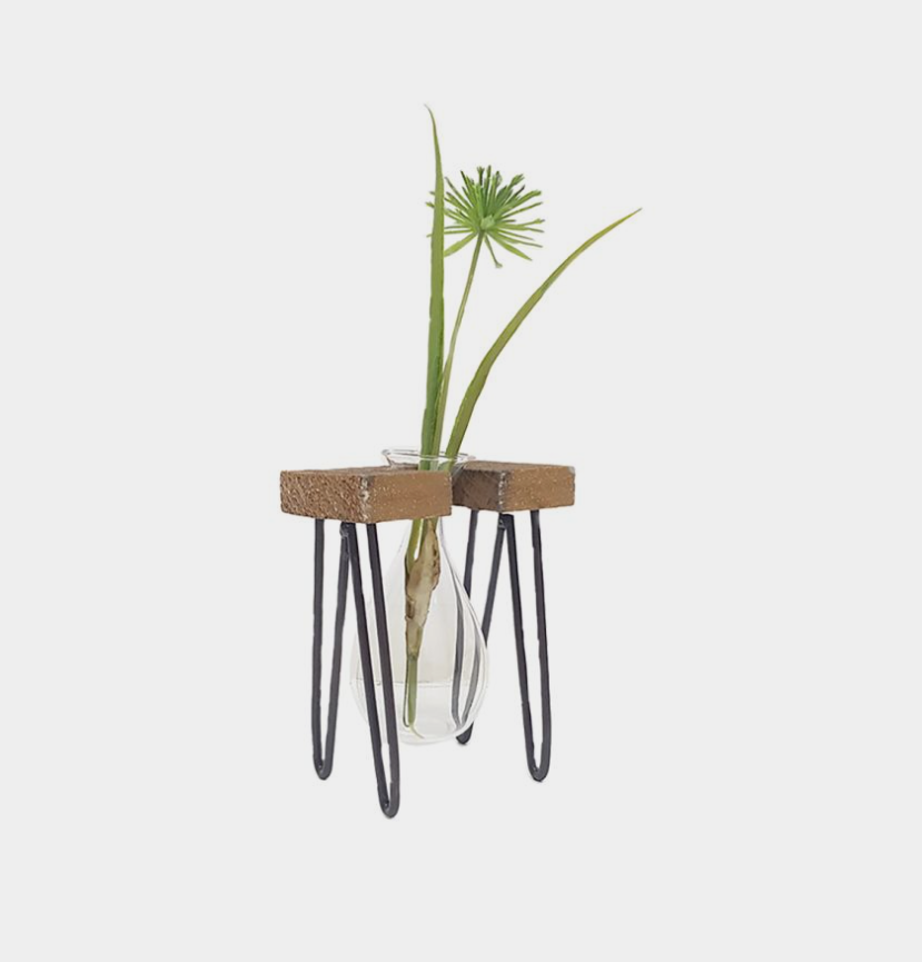 Glass Propagation Vase with Wooden Stand