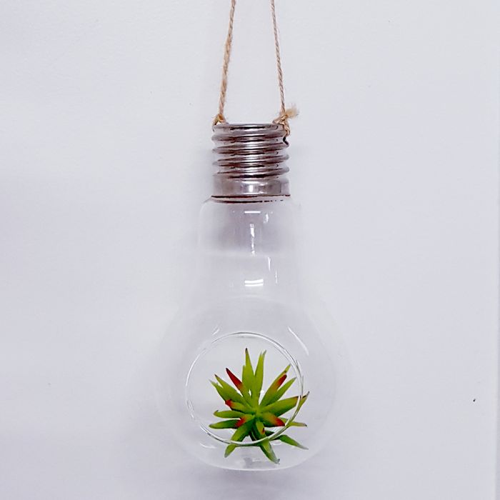 Terrarium Glassware Range - Hanging light bulbs (flat bottom)