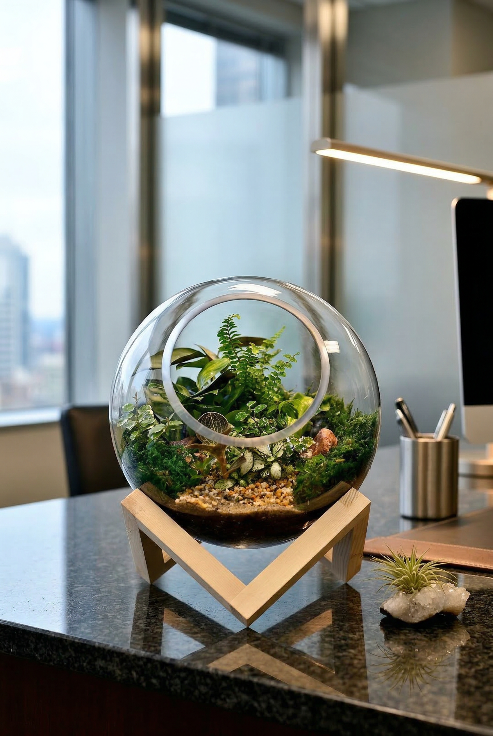 Bowl on Base Terrariums Large (Ready-made or DIY)