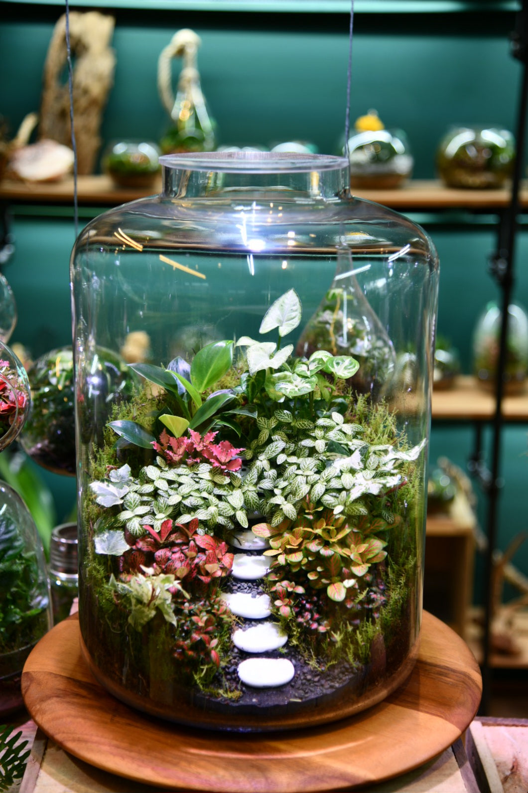 Large Enclosed Glass Terrarium – Woodland Style Indoor Plant Terrarium (Dome) – Low Maintenance