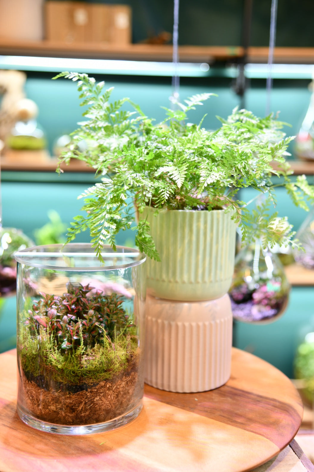 Mini Glass Terrarium – Hurricane Style Enclosed Indoor Plant (16cm)