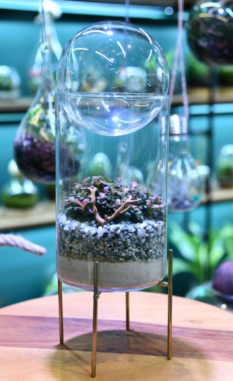 Glass Hurricane Terrarium – Enclosed Indoor Plant Terrarium (36cm)