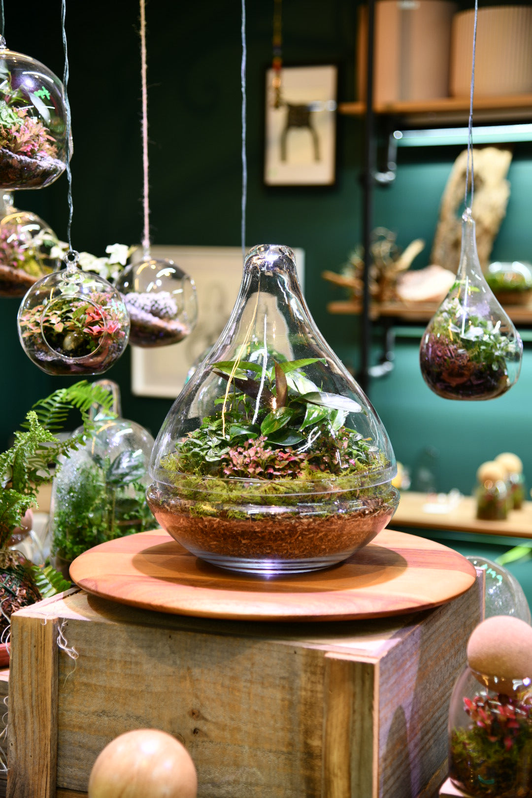 Enclosed Teardrop Terrarium – Wide