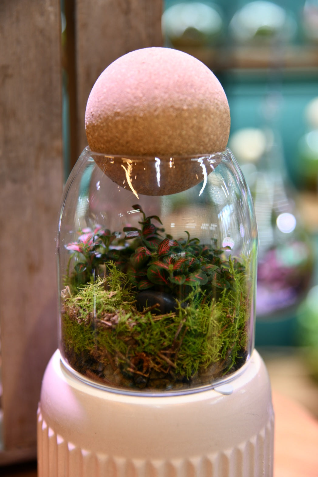 Glass Dome Terrarium with Cork Lid – Enclosed Indoor Plant Terrarium (15cm)