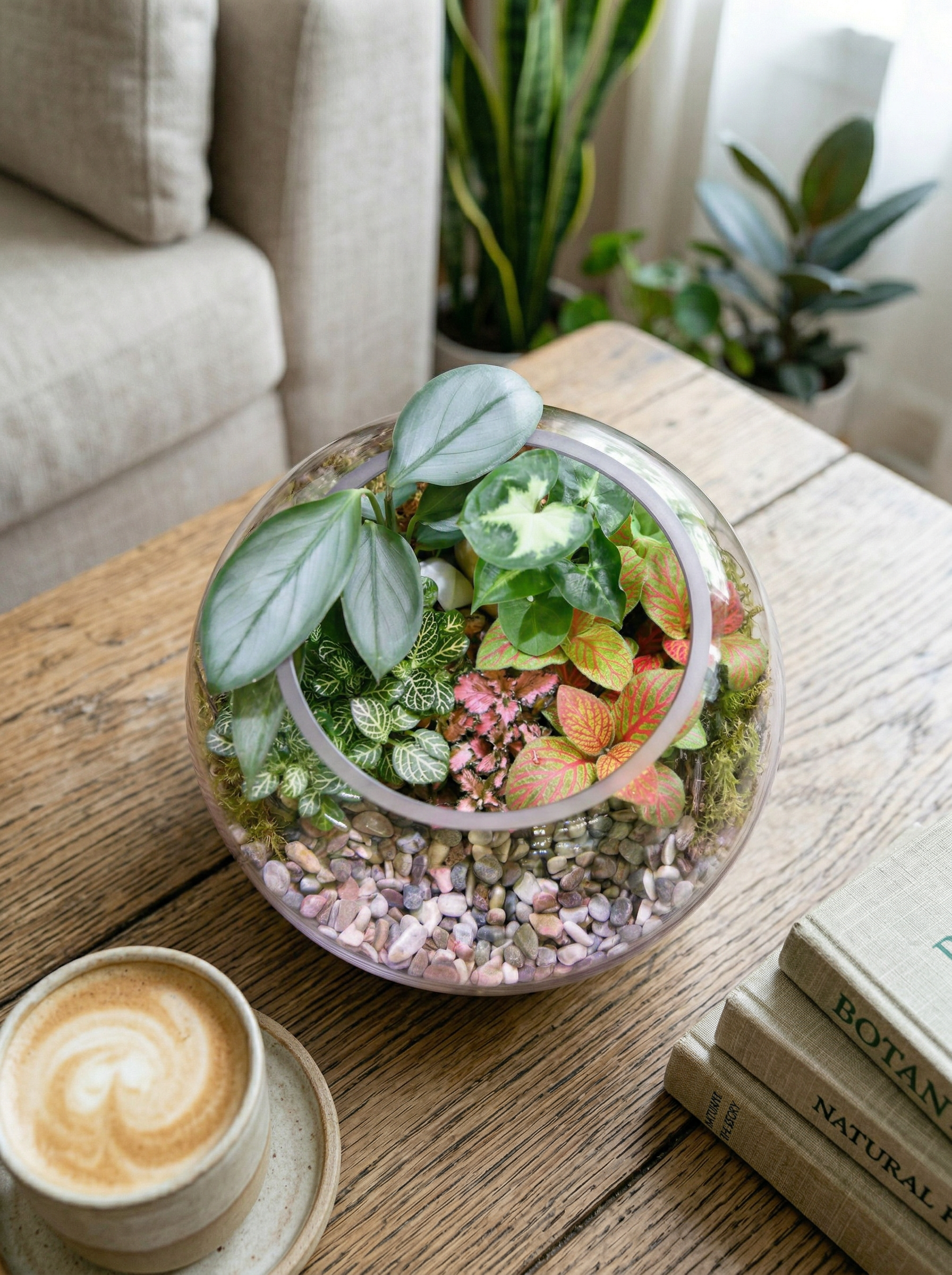 Mini Fishbowl Terrariums (Ready-made or DIY)