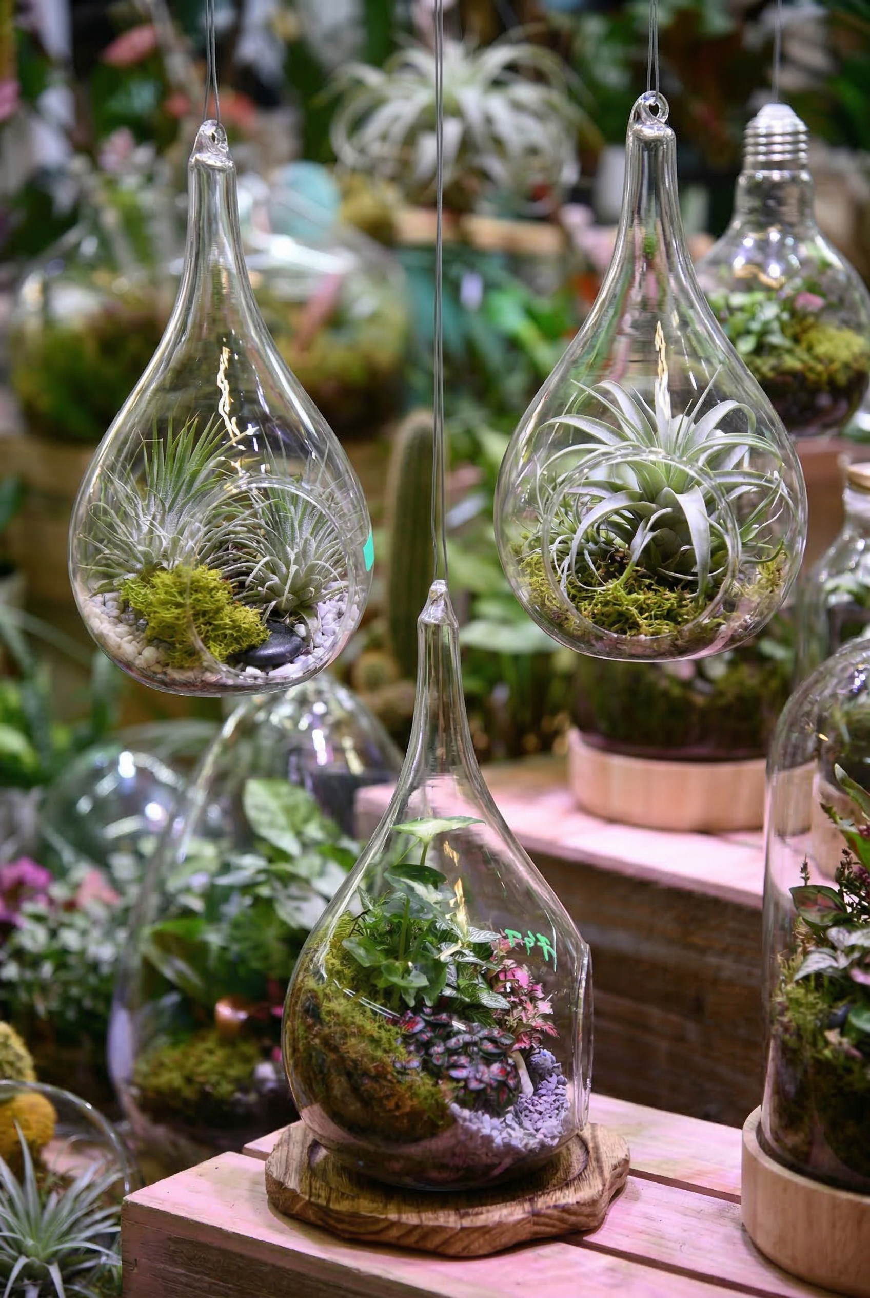 Small Teardrop Terrarium – Hanging or Flat Base Ready-Made or DIY