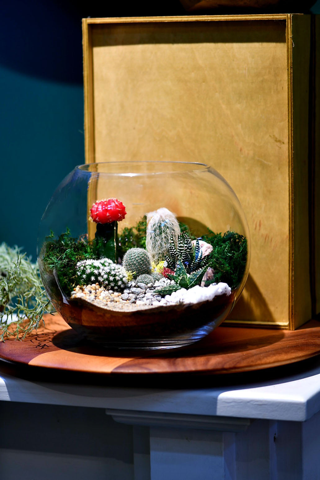 Medium fishbowl terrarium
