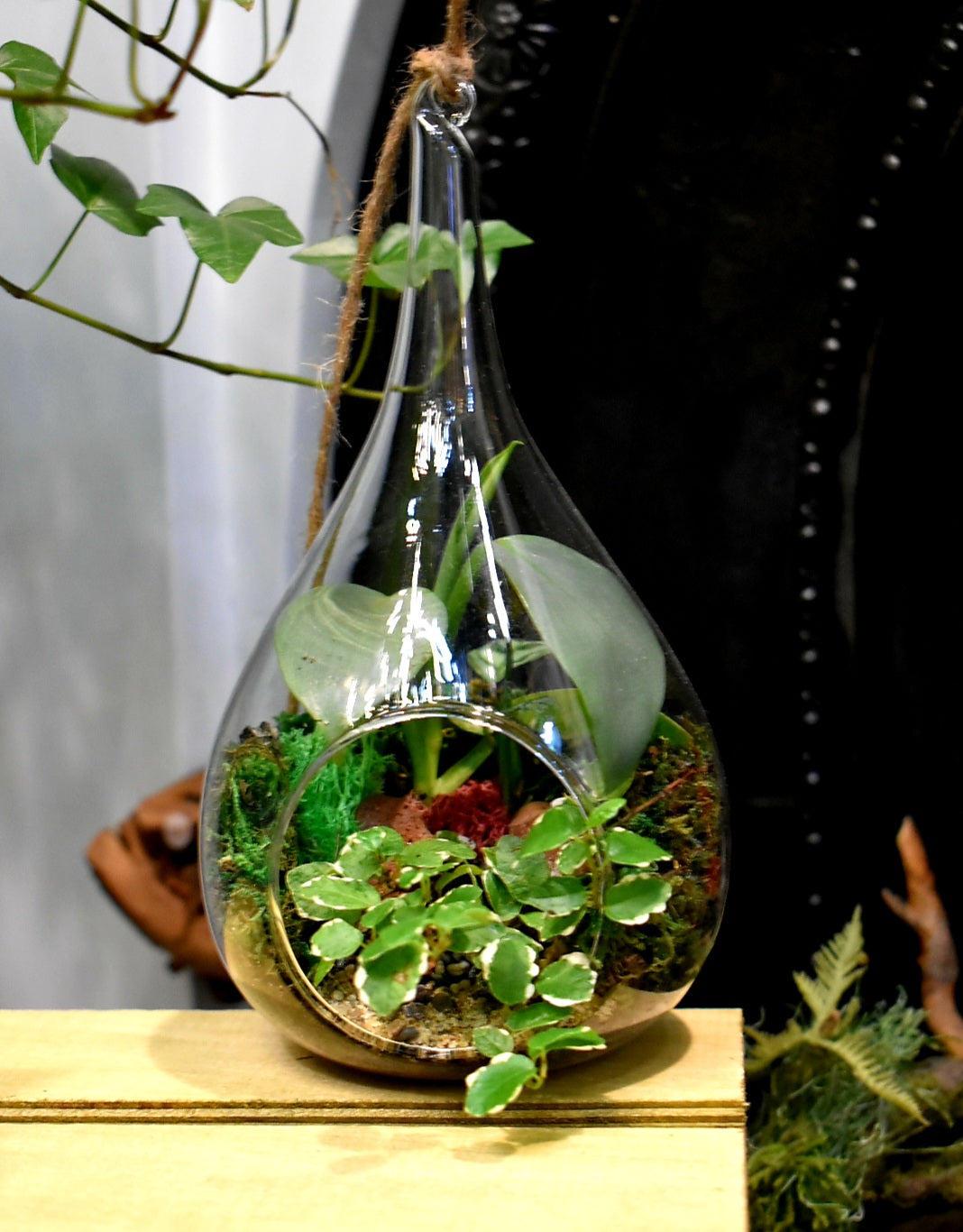 teardrop terrariums
