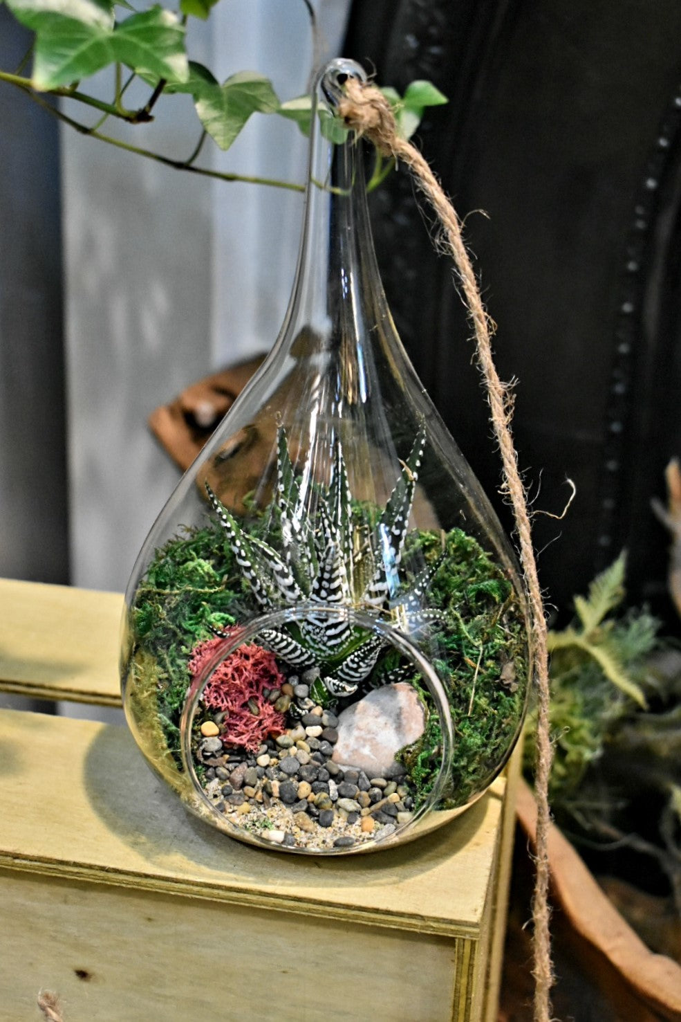 teardrop terrariums
