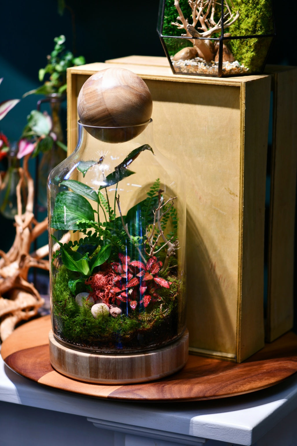 Mr Woody (Ready-made or DIY)