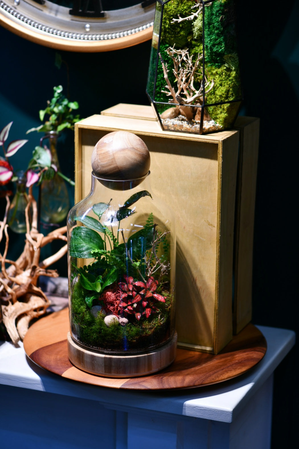 Mr Woody – Enclosed Glass Terrarium with Wooden Base