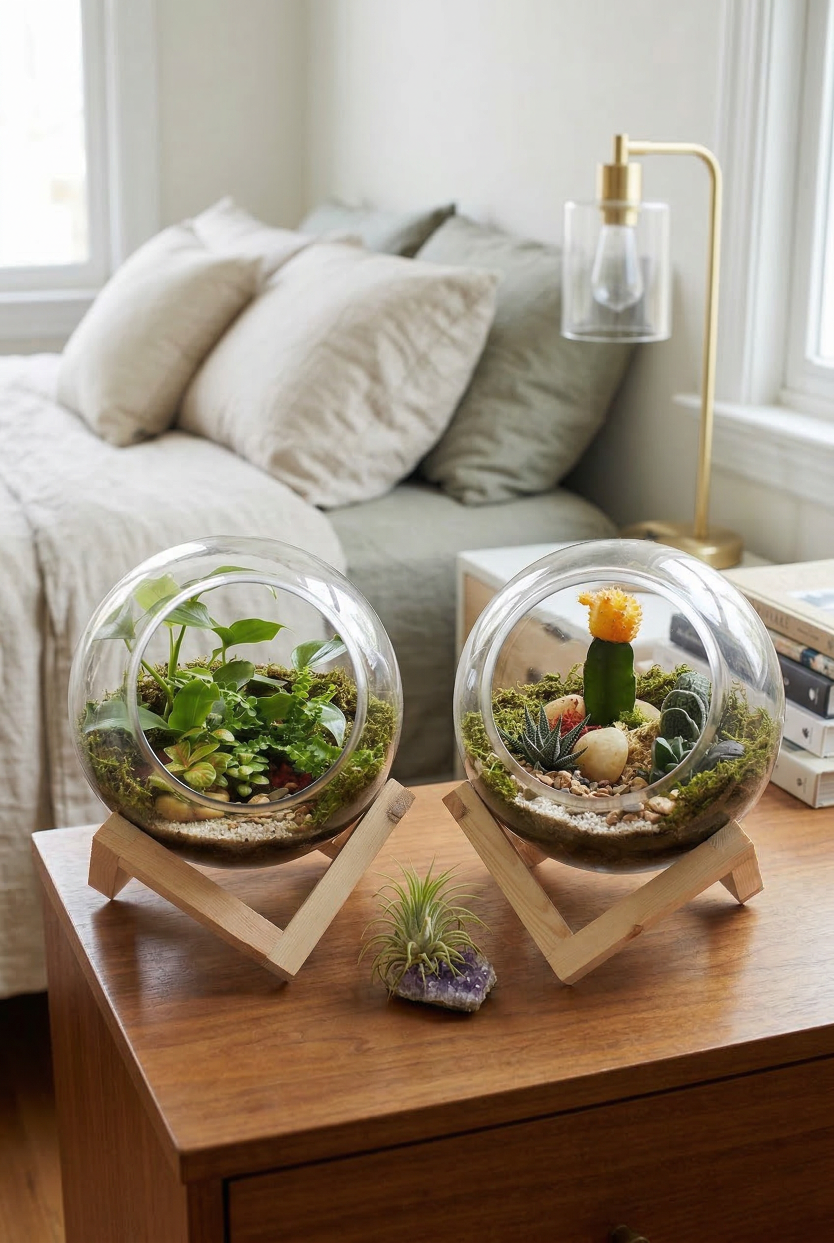 Bowl on Base Terrariums Medium (Ready-made or DIY)