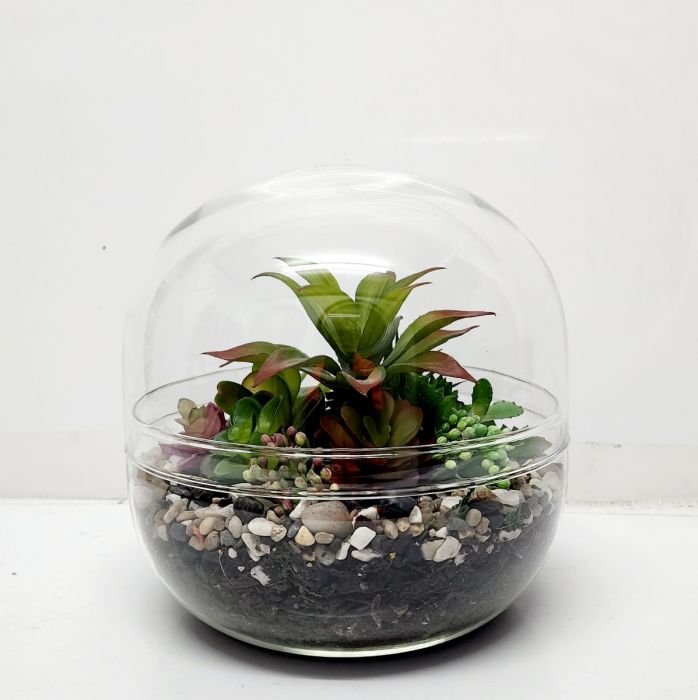 Terrarium Glassware Range - Dome eggs