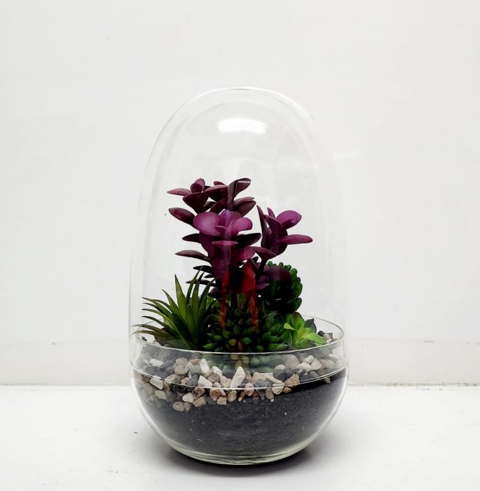 Terrarium Glassware Range - Dome eggs