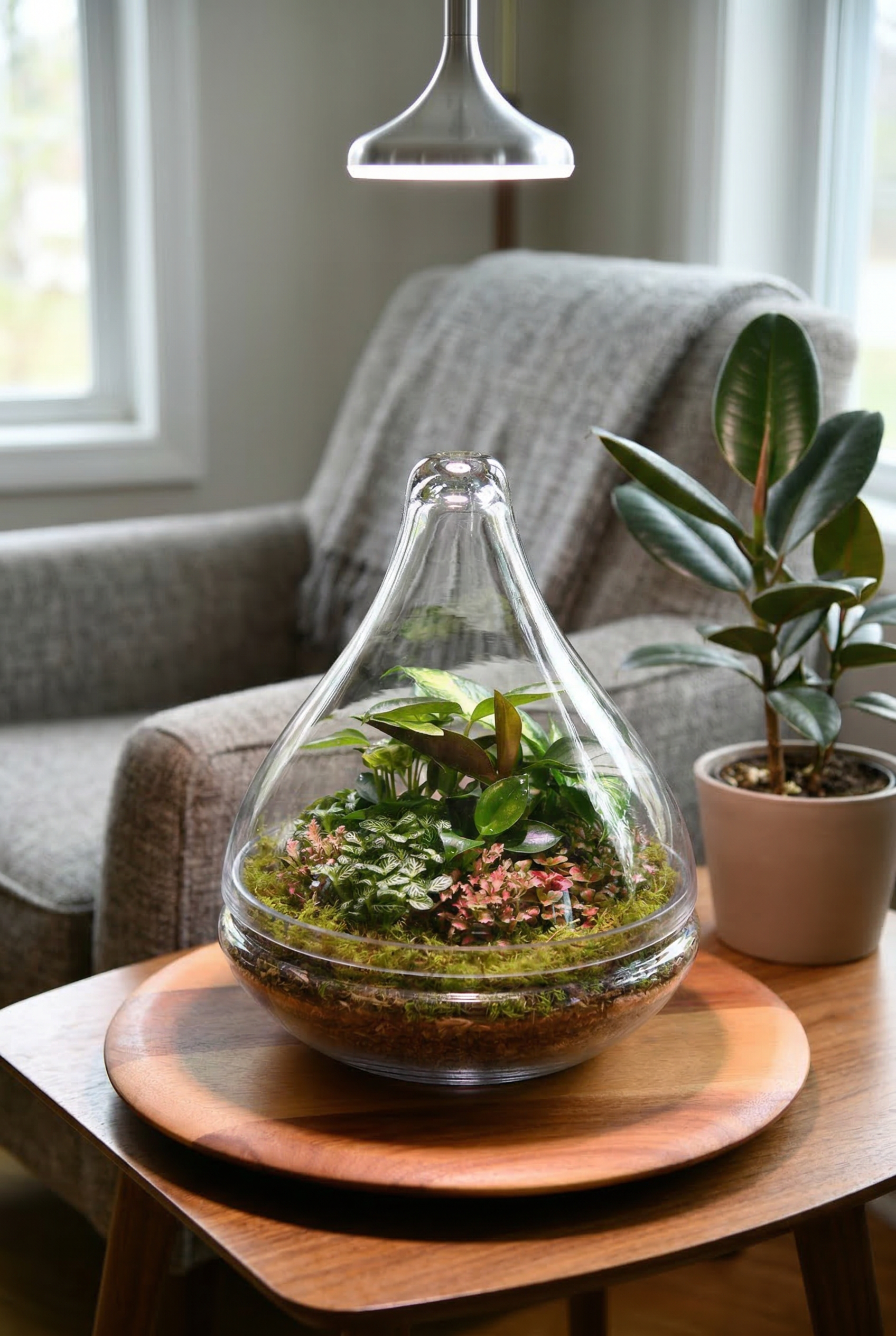Enclosed Teardrop Terrarium – Wide