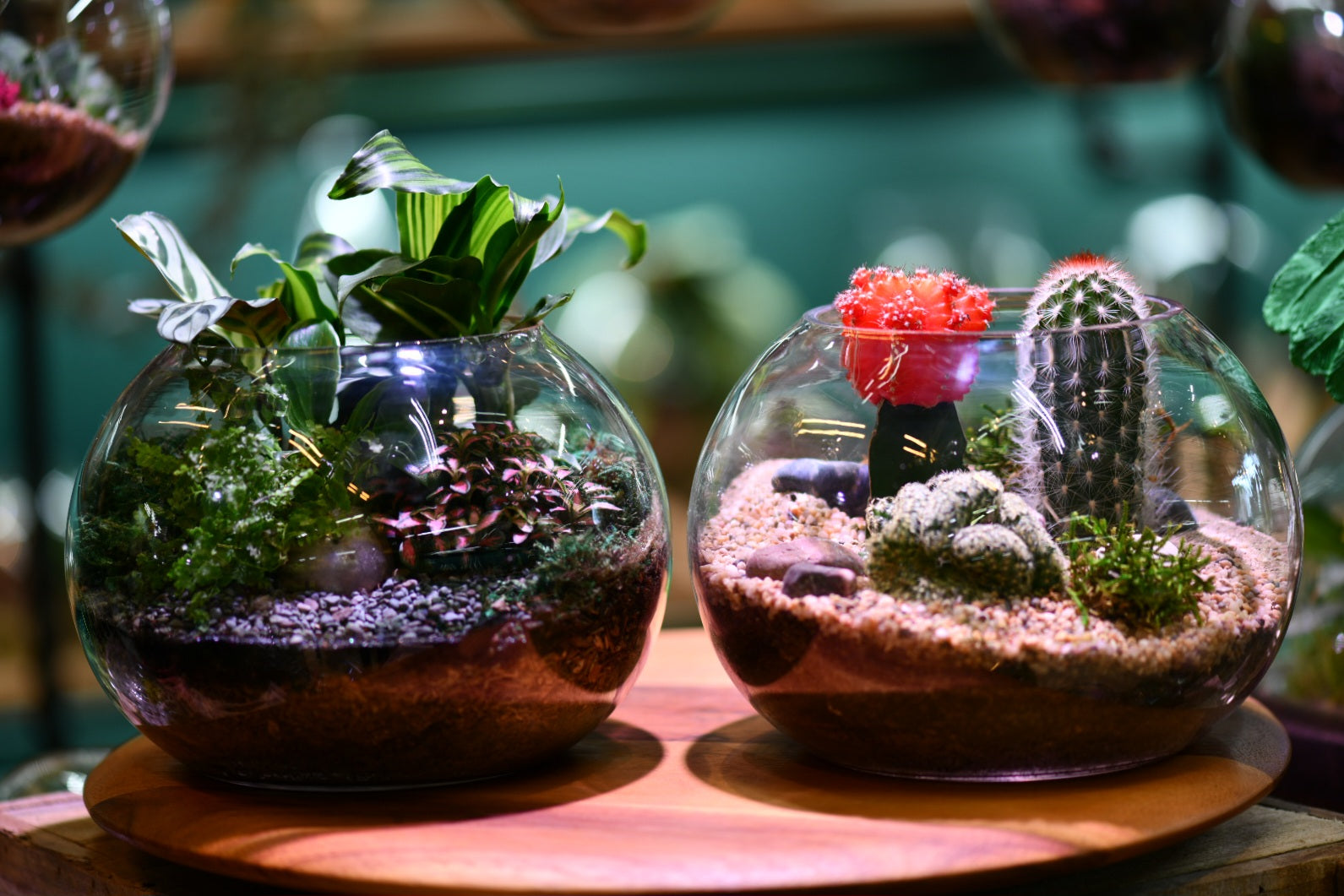 Hands-On Workshops at Greenlab Collective