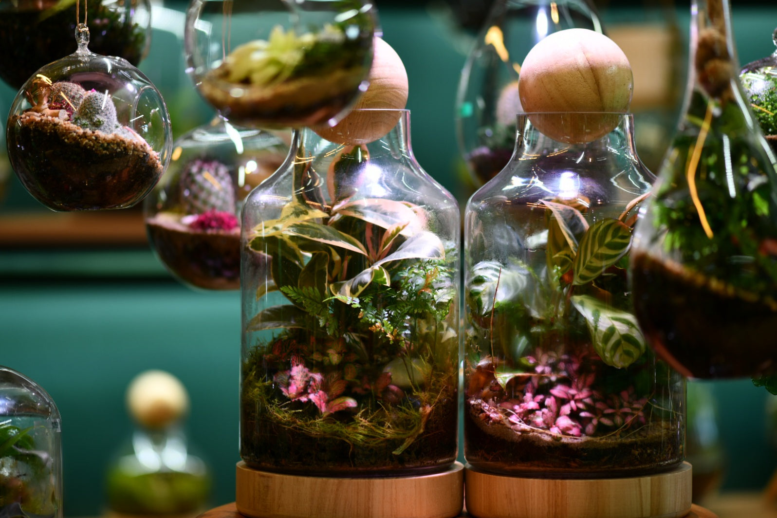 Hands-On Workshops at Greenlab Collective