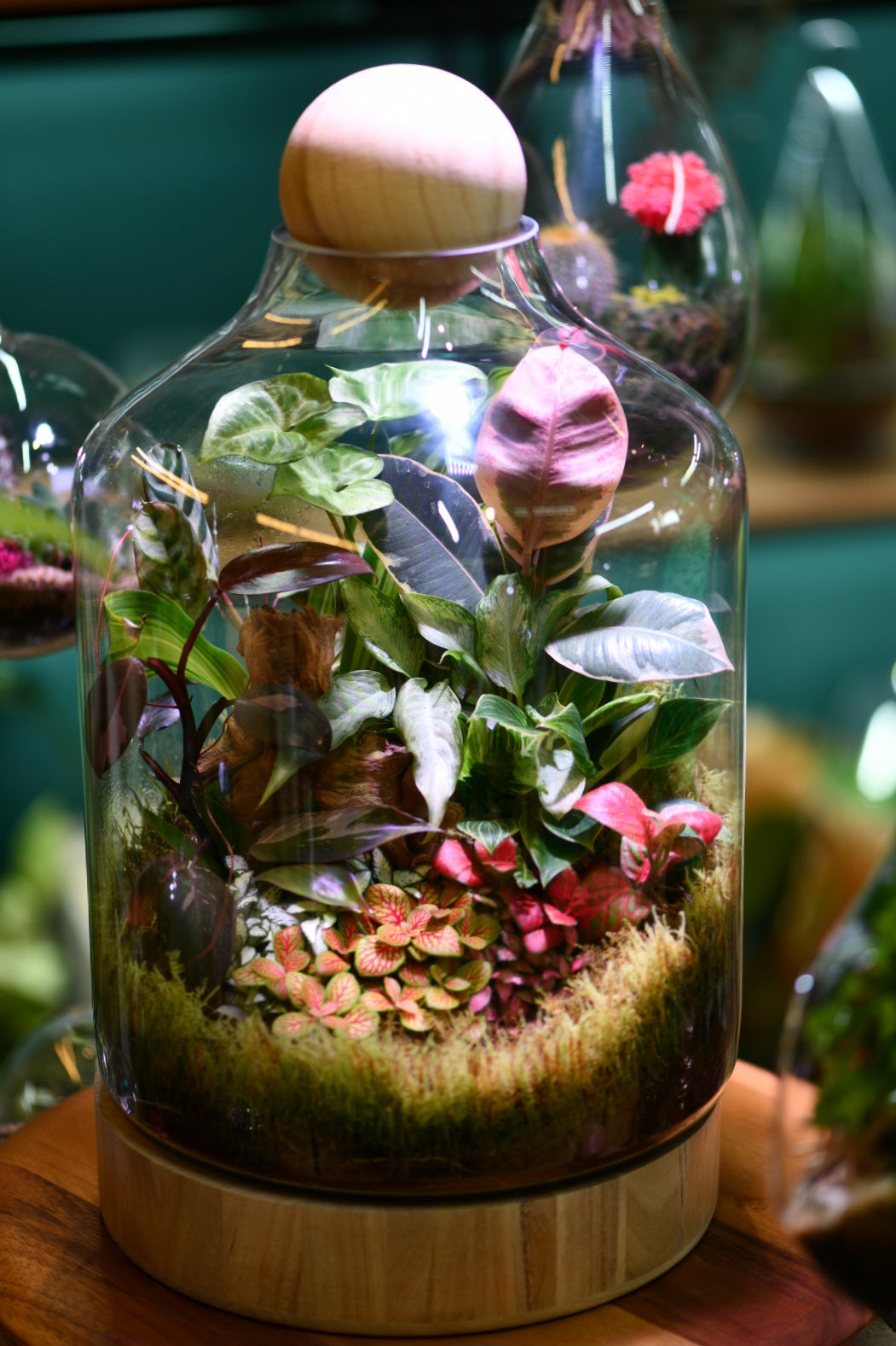 Hands-On Workshops at Greenlab Collective