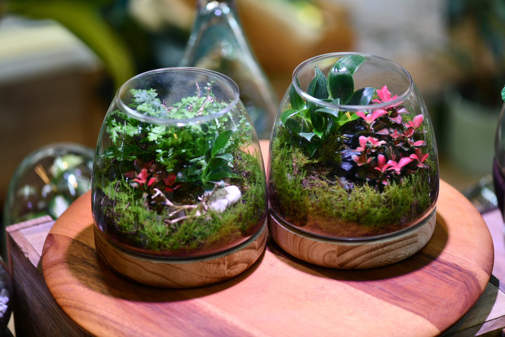 Hands-On Workshops at Greenlab Collective