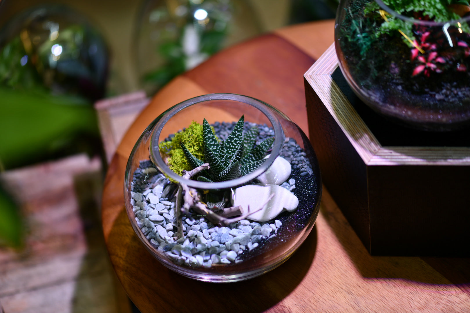 Hands-On Workshops at Greenlab Collective