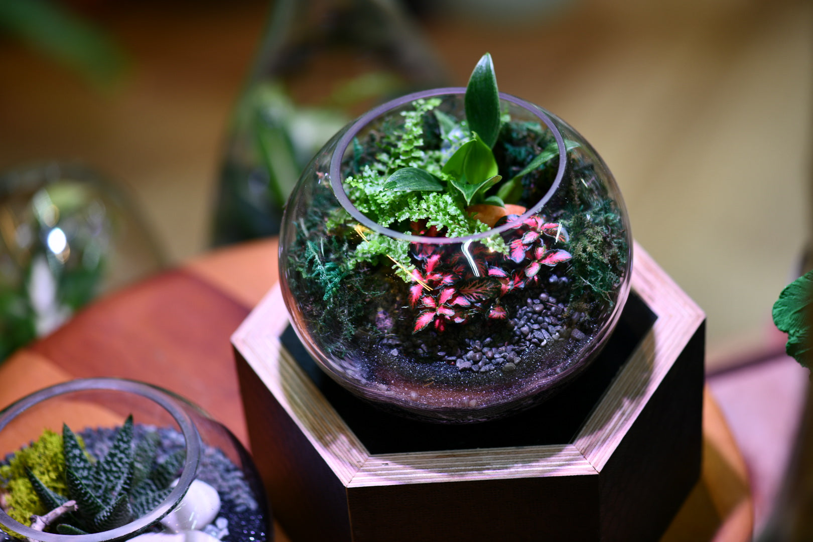 Hands-On Workshops at Greenlab Collective