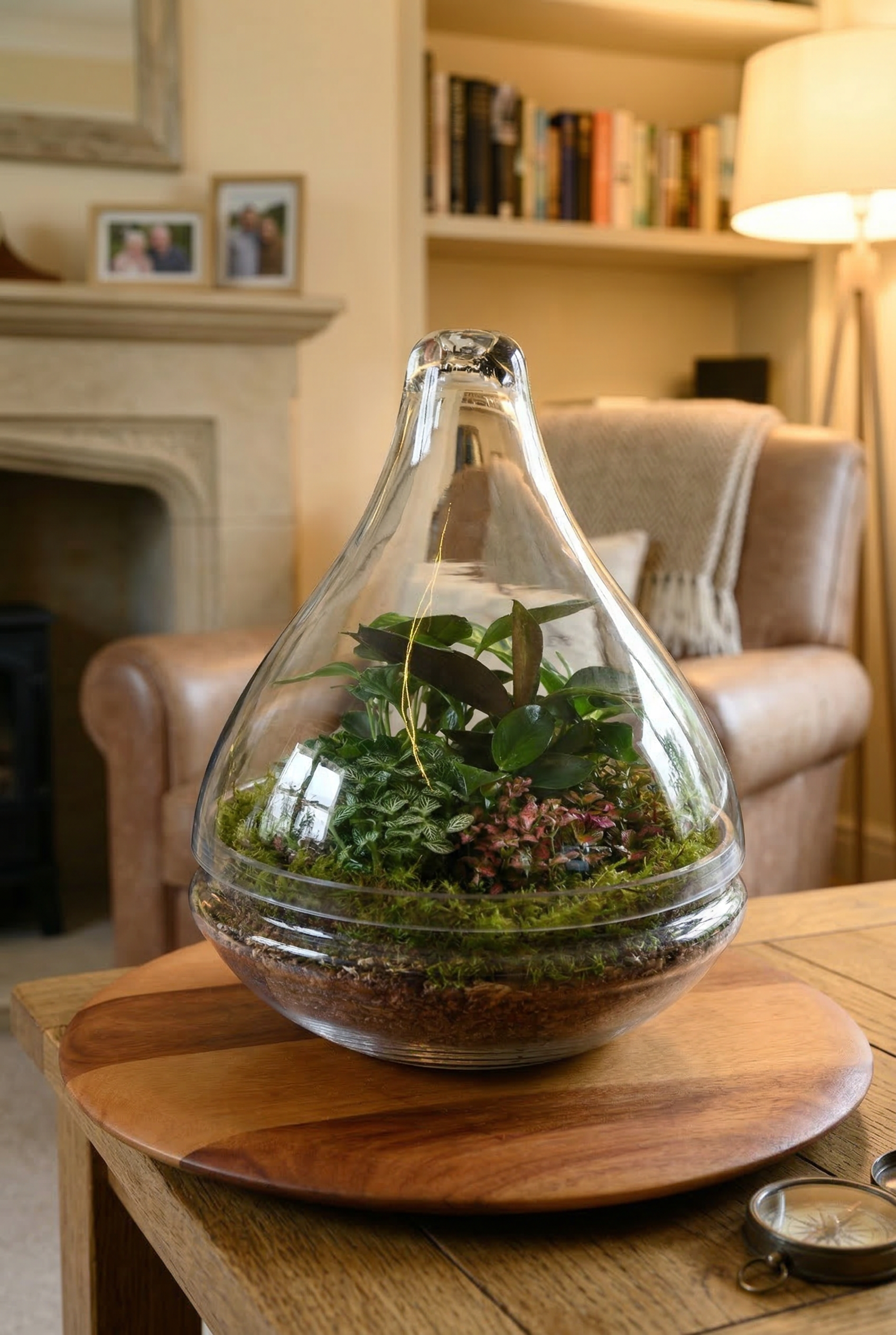 Enclosed Teardrop Terrarium – Wide