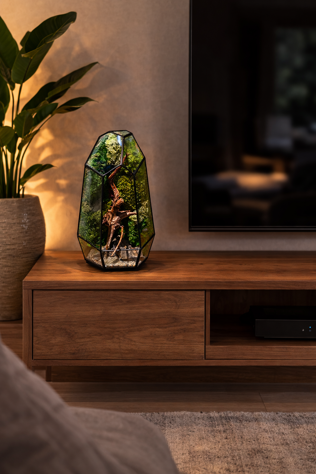 Eternal Moss Geo Terrariums