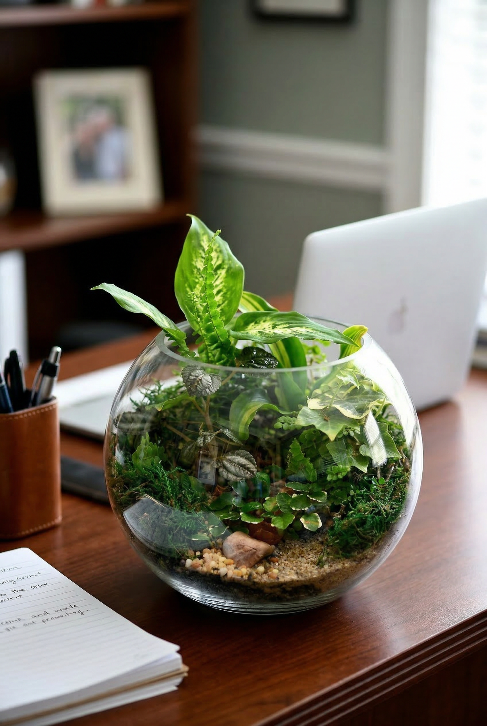 Fishbowl Terrariums (Ready-made or DIY)