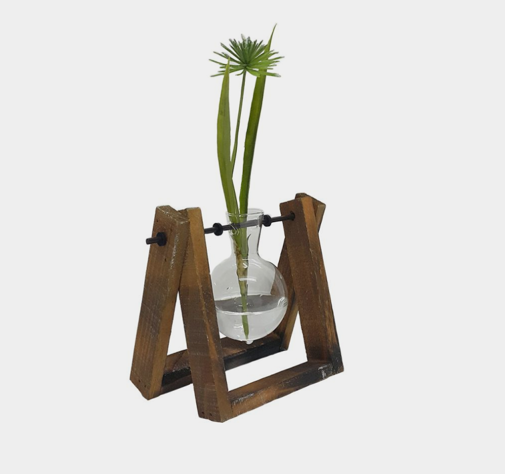 Glass Propagation Vase with Wooden Stand