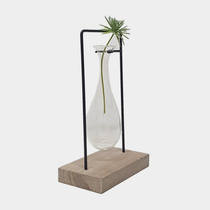 Glass Propagation Vase with Wooden Stand