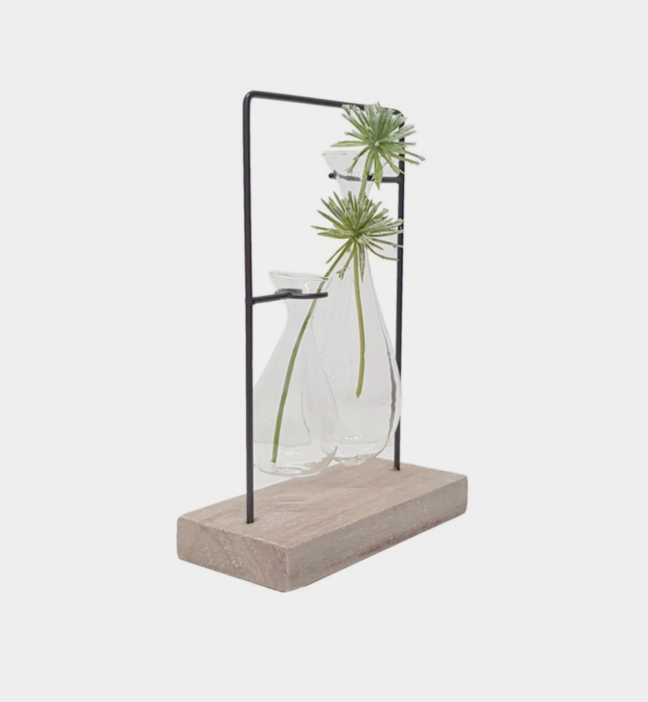 Glass Propagation Vase with Wooden Stand