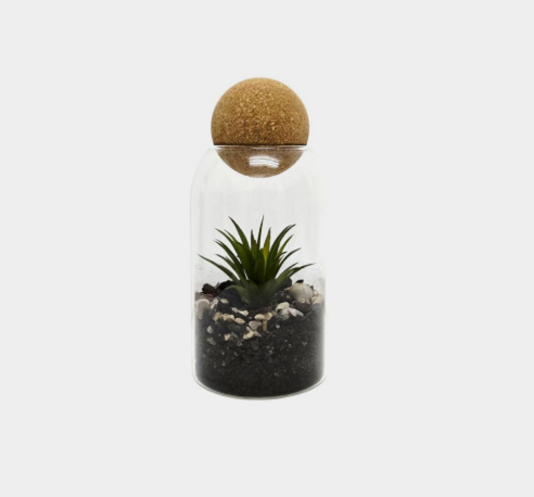 Cork Terrariums Glassware Only