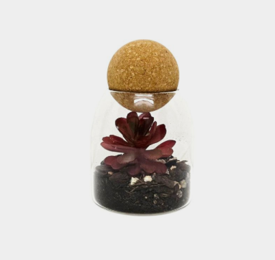 Cork Terrariums Glassware Only