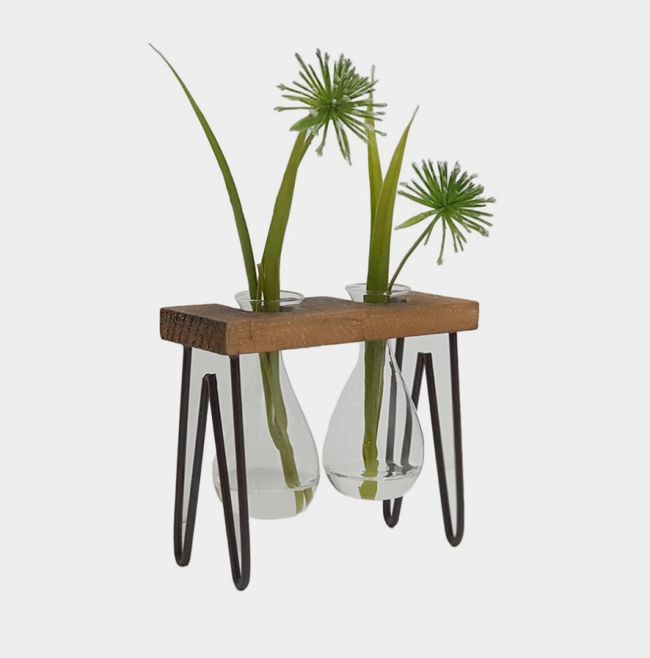 Glass Propagation Vase with Wooden Stand