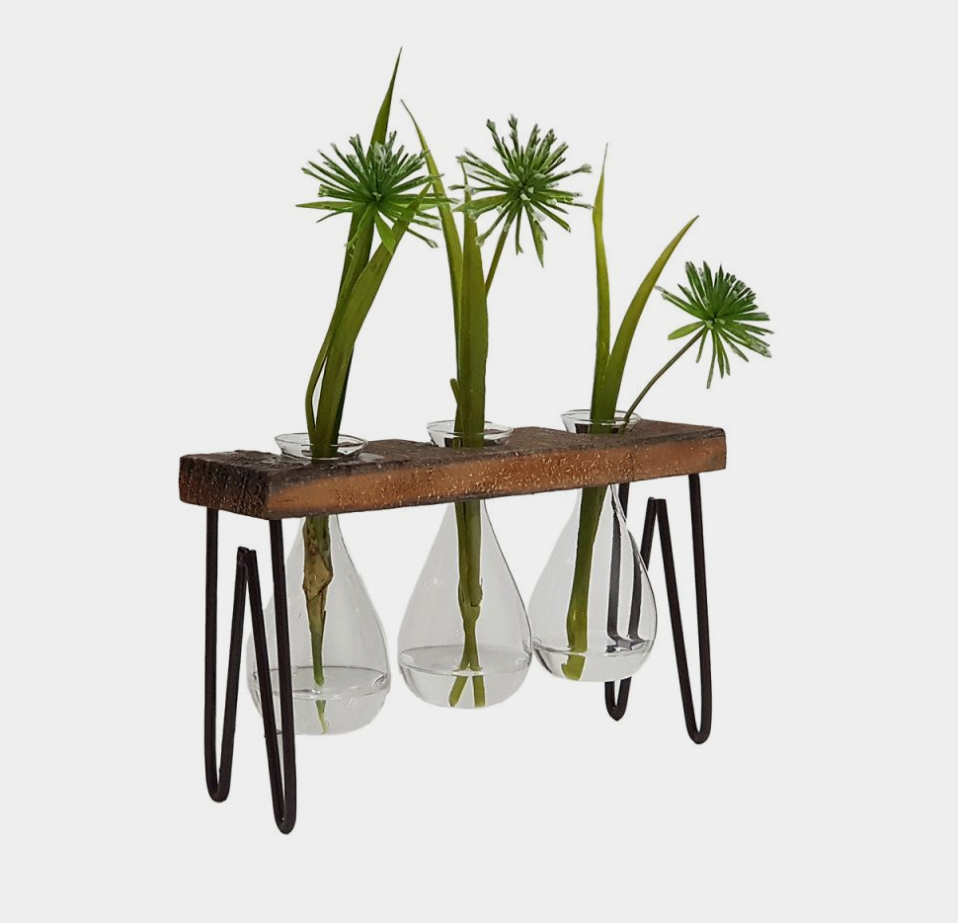 Glass Propagation Vase with Wooden Stand