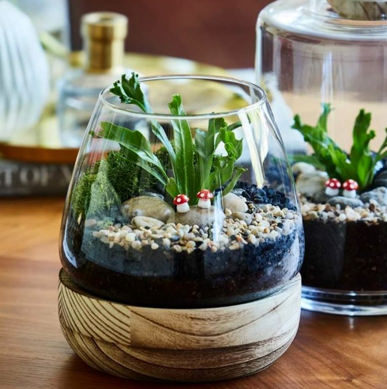 Terrarium Glassware Range - Hurricane